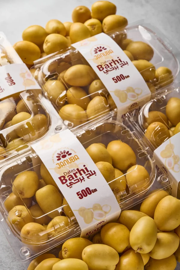 Januba Barhi Dates (500 gm)