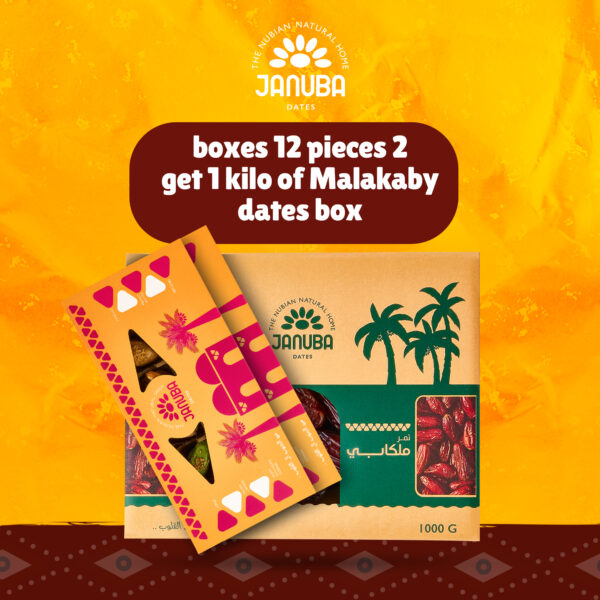 Assorted Dates Offer (Buy 2 Boxes 12 – Get Malkaby 1K)