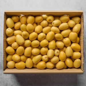 Januba Barhi Dates (3000 gm)