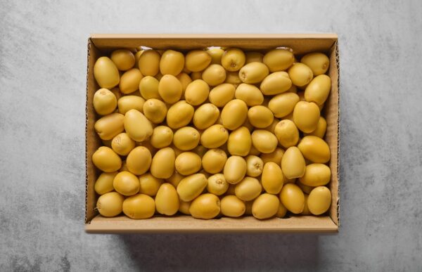 Januba Barhi Dates (3000 gm)